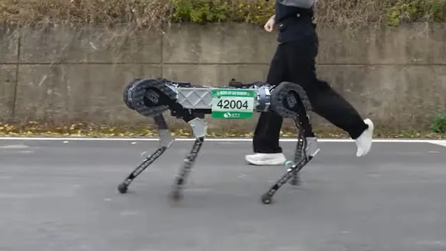 Un chien-robot boucle un marathon en 4 heures et 19 minutes sans recharger sa batterie