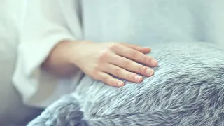 Qoobo, official image from Yukai Engineering