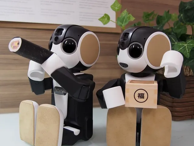 RoBoHoN
