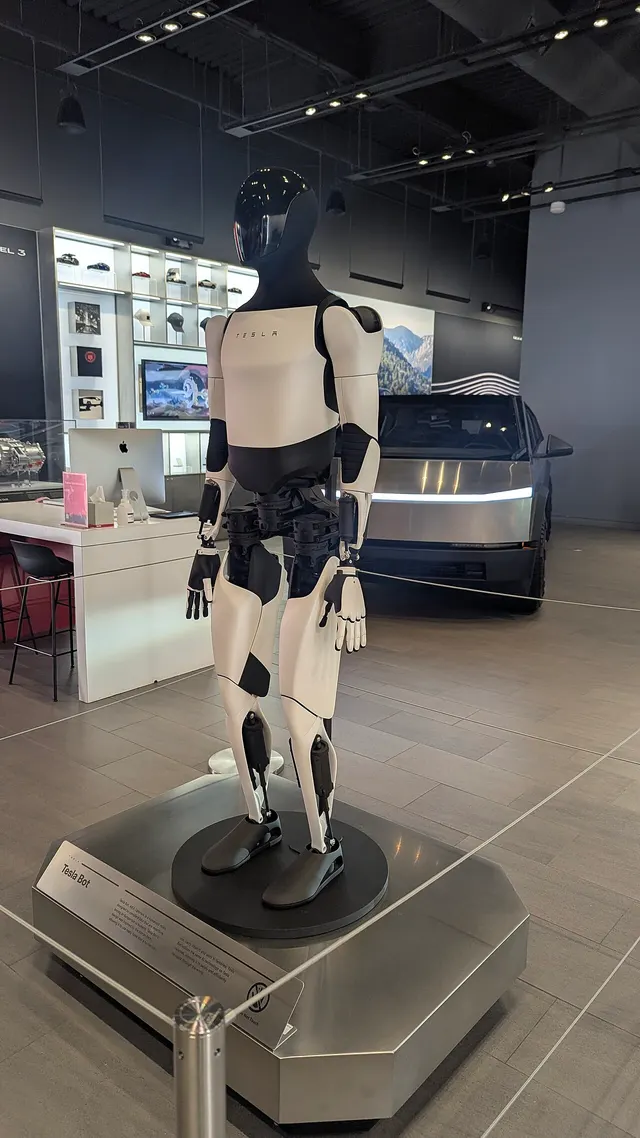 Un robot humanoïde Optimus exposé dans un showroom Tesla