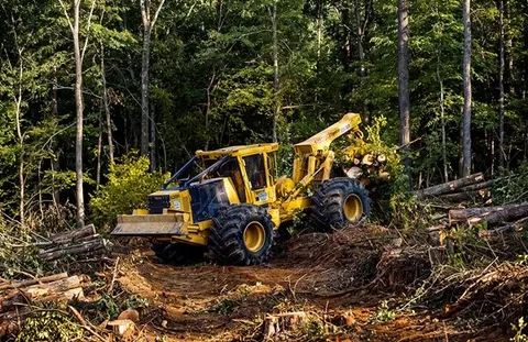 Kodama raises $7 million to have forestry machines driven remotely